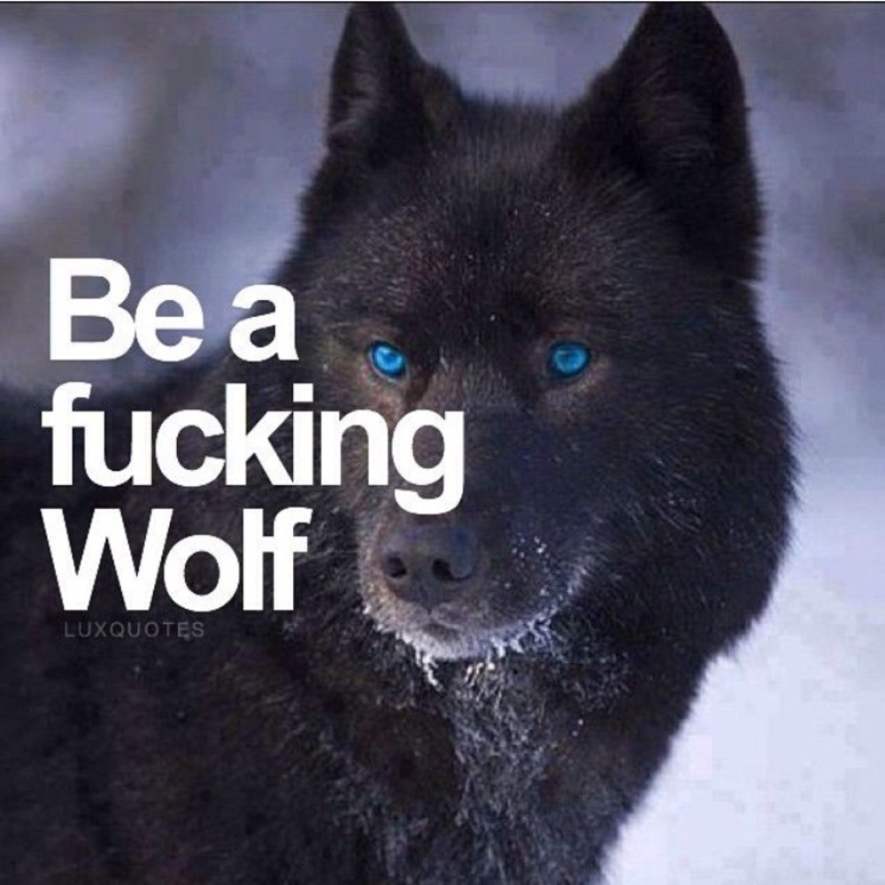 Meet your Posher, George